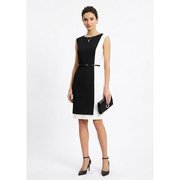 Saks Fifth Avenue Dresses & Skirts - Saks Fifth Avenue Black Label Colorblock Sheath Dress Black Ivory NWT 10